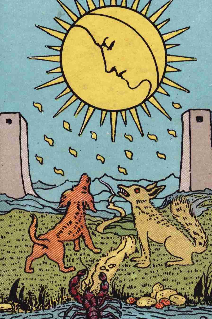 The Moon tarot card artwork used in the Zodico guide.